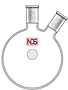 4010 Flask, Round Bottom, Two Neck, Angled - Manufactured by NDS Technologies, Inc.